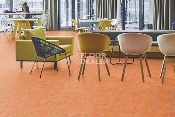 Линолеум Marmoleum Decibel on Order 340335 Asian tiger фото 1 | FLOORDEALER